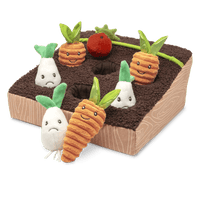 Learn and Grow Garden