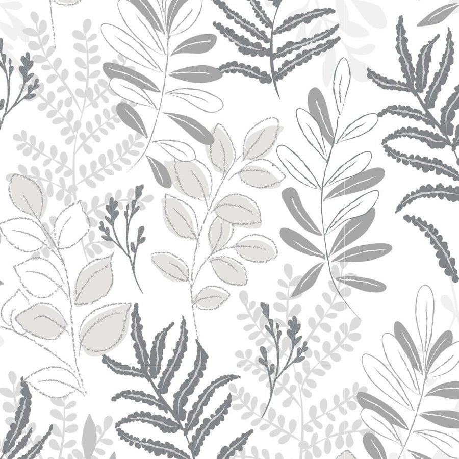 Gray Ferns
